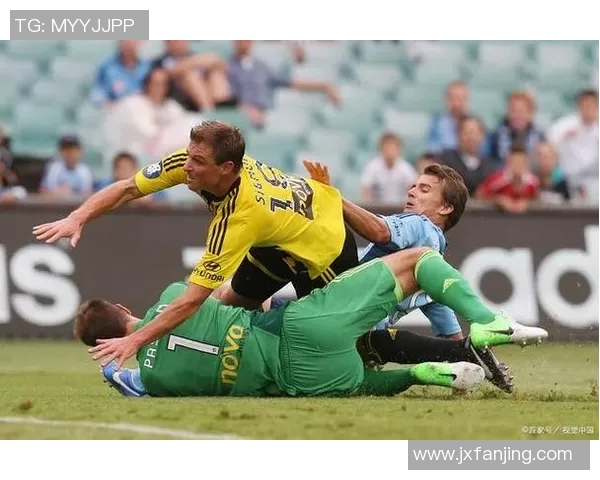 FC悉尼迎战惠灵顿凤凰争夺澳超联赛关键胜利之战