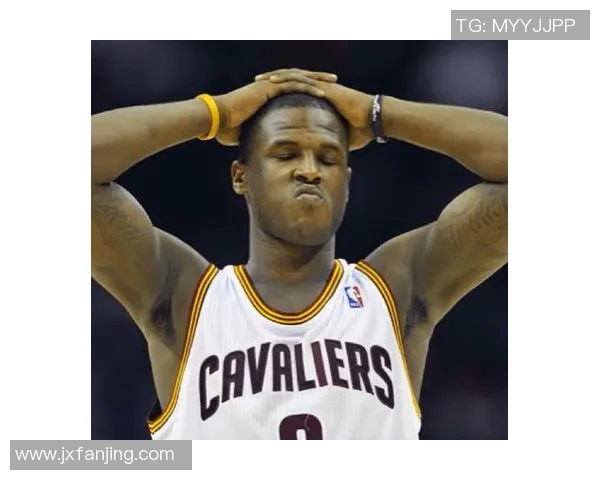 热火老将维特斯正考虑退役：坚韧旅程的终章